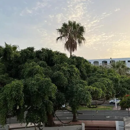 Cozy Lägenhet Costa Adeje (Tenerife)