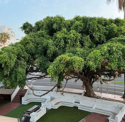 Cozy Appartamento Costa Adeje (Tenerife)