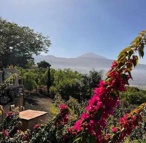 Cozy * Costa Adeje (Tenerife)